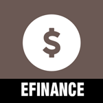 EFINANCE